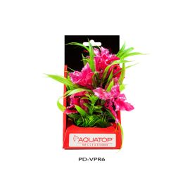 Aquatop Vibrant Passion Plant Rose; 1ea-6 in